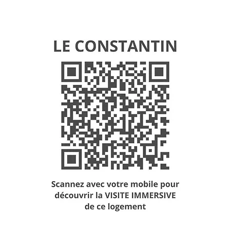 Le Constantin - Charmant Souplex De 34m2